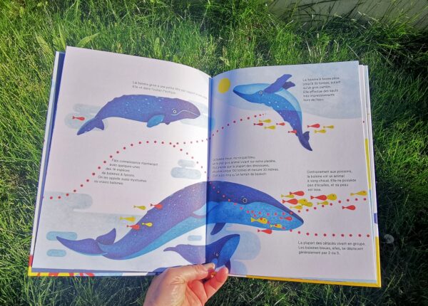 La baleine (Série Suis du doigt) – Image 5