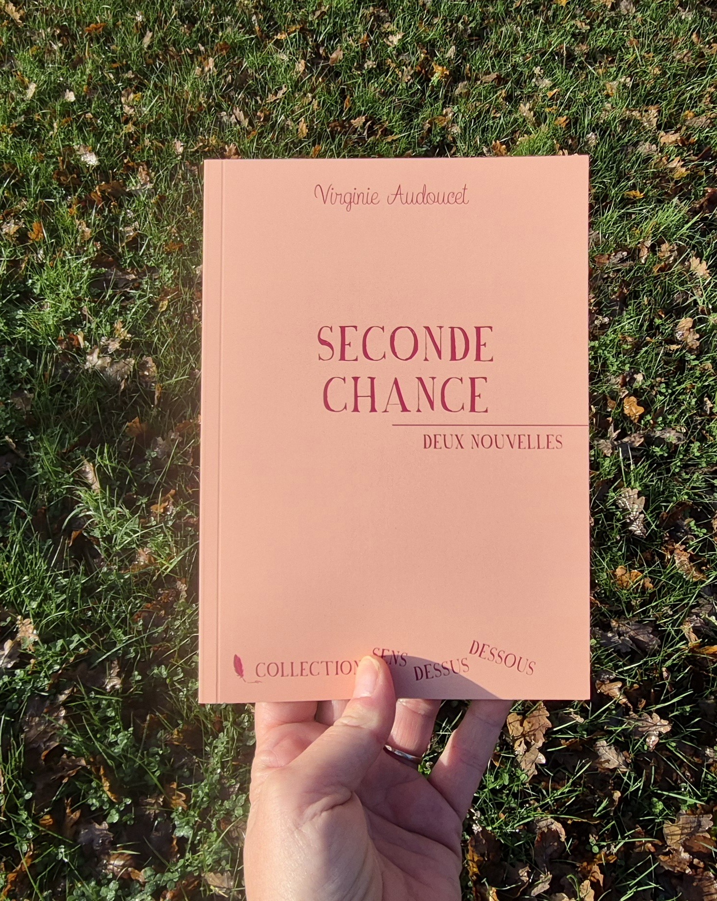 Seconde chance (Collection Sens dessus dessous) – Image 5