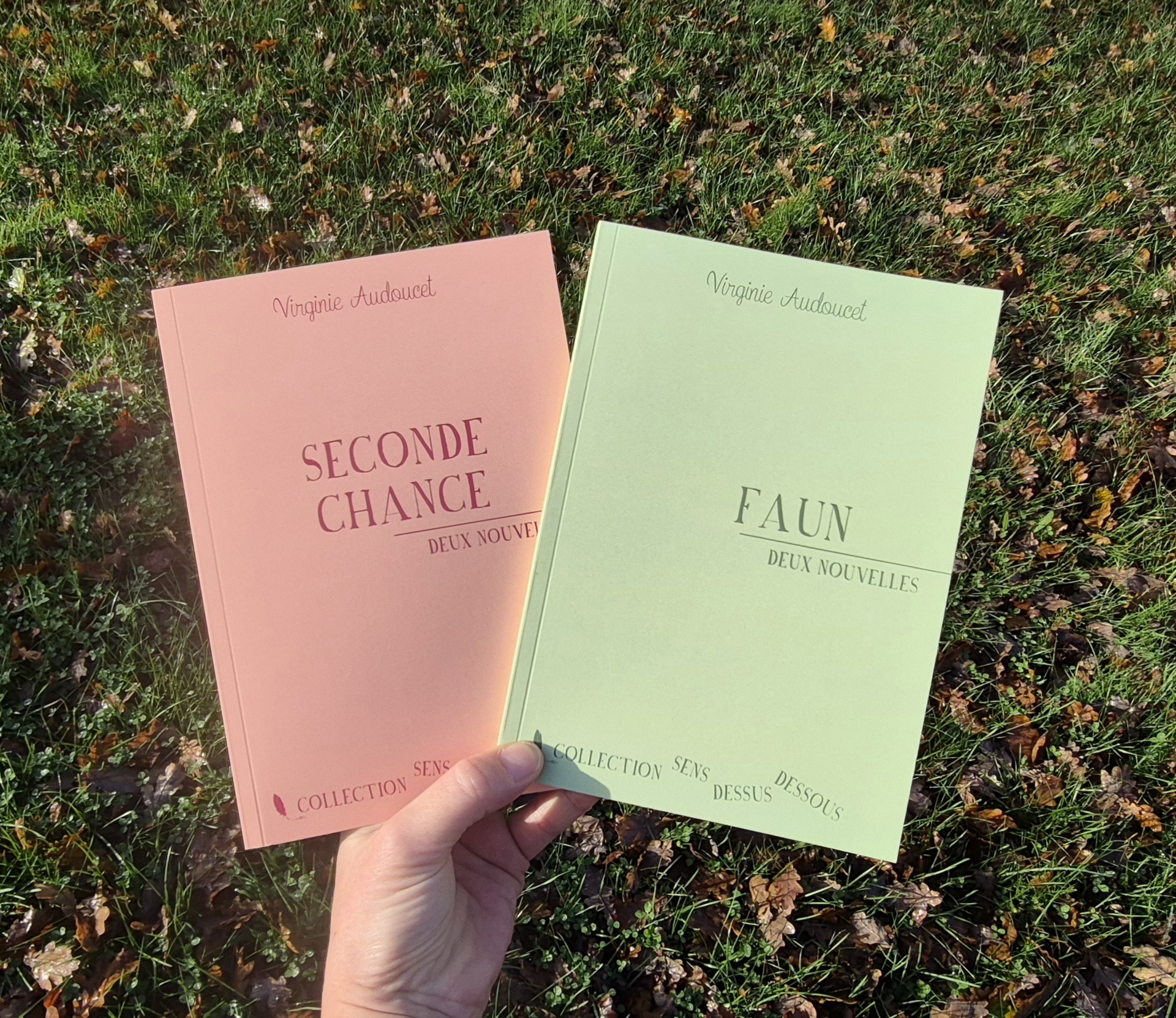 Seconde chance (Collection Sens dessus dessous) – Image 6