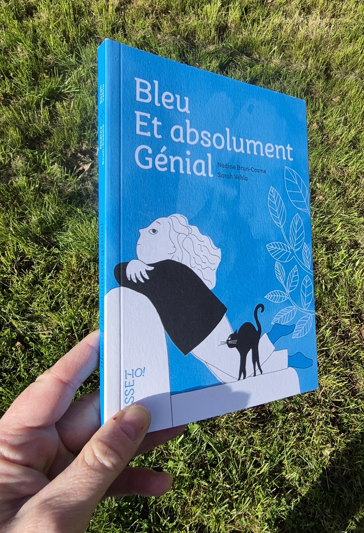 Bleu et absolument génial – Image 2