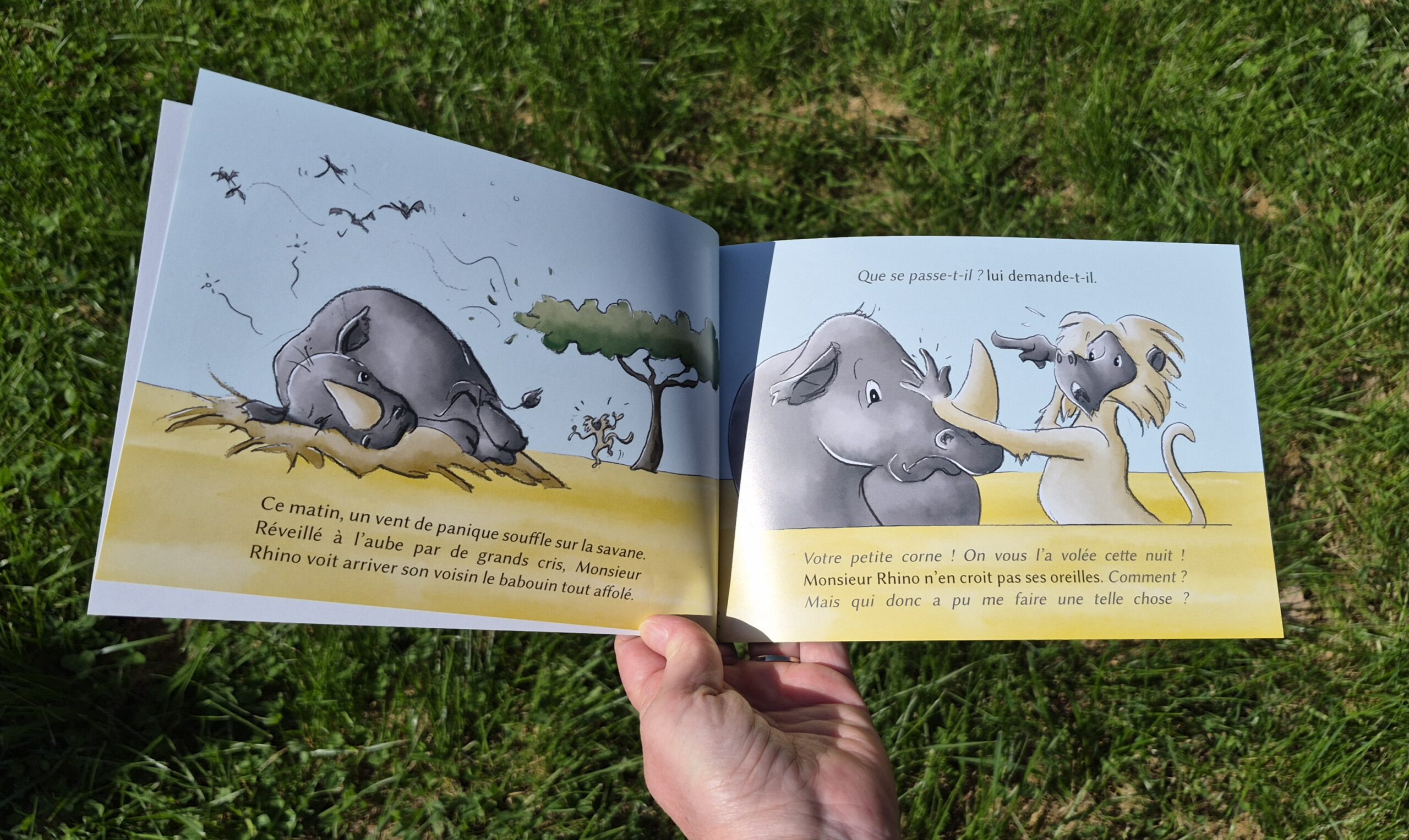 Le voleur de corne – Image 3